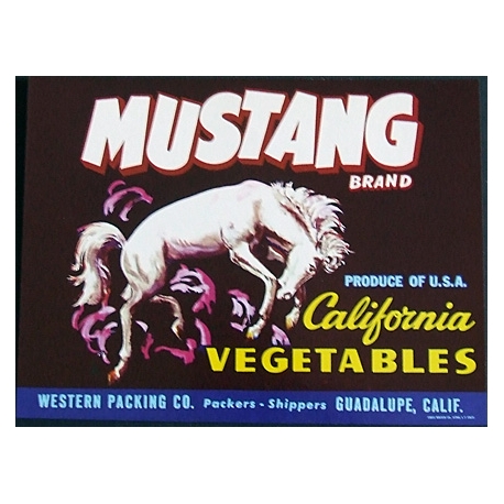 Vegetable Crate Label-MUSTANG BRAND-California Vegetables-Guadalupe, CA-NEW