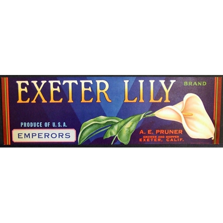 Fruit Crate Label-EXETER LILY Brand-Exeter, CA-NEW