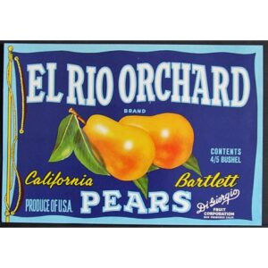 Fruit Crate Label-EL RIO ORCHARD Brand-San Francisco, CA-NEW