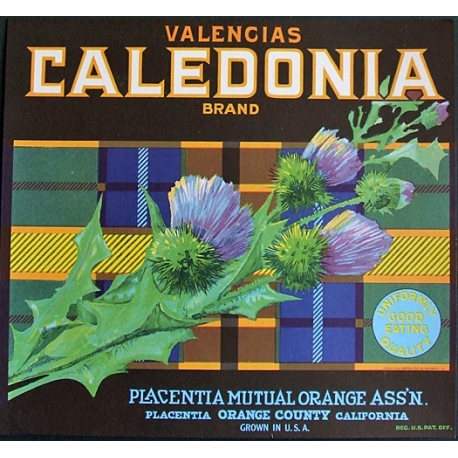 Fruit Crate Label-CALEDONIA Brand -Placentia, CA-NEW