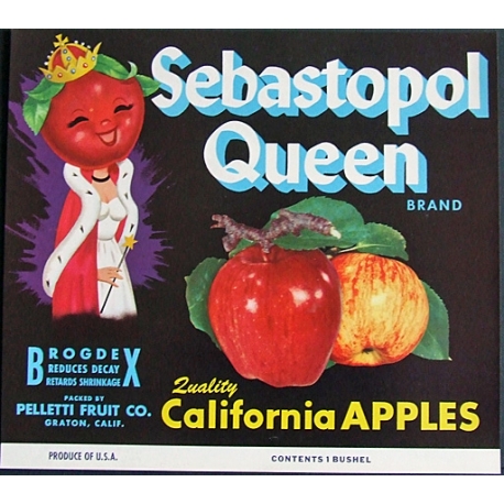 Fruit Crate Label-SEBASTOPOL QUEEN Brand -Graton, CA-NEW